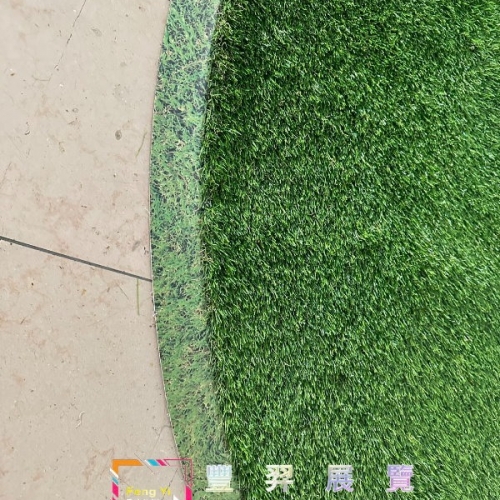 精品店雙色草
